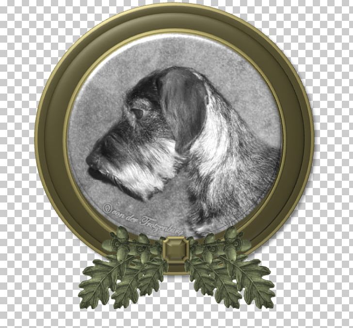 Miniature Schnauzer Schnoodle Dog Breed Petit Basset Griffon Vendéen Wirehaired Pointing Griffon PNG, Clipart, Bread Pan, Breed, Carnivoran, Cesky Terrier, Dog Free PNG Download