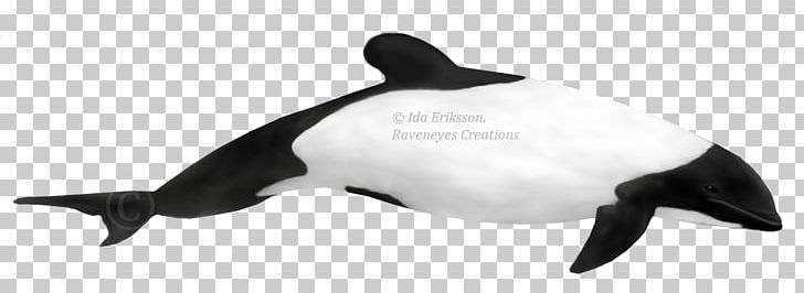 Short-beaked Common Dolphin Porpoise Toothed Whale Hector's Dolphin PNG, Clipart, Porpoise, Short Beaked Common Dolphin, Toothed Whale, Whitebeaked Dolphin Free PNG Download