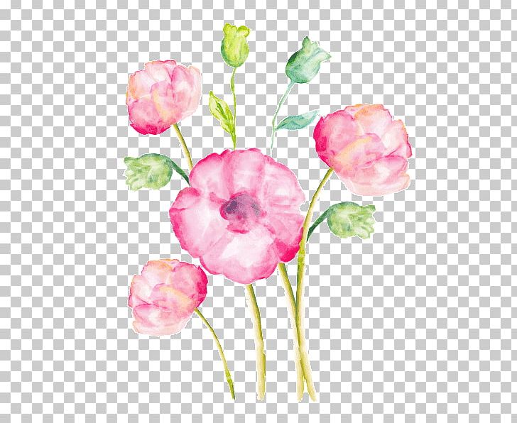 Watercolor Painting Drawing PNG, Clipart, Art, Blossom, Bud, Color, Cut Flowers Free PNG Download