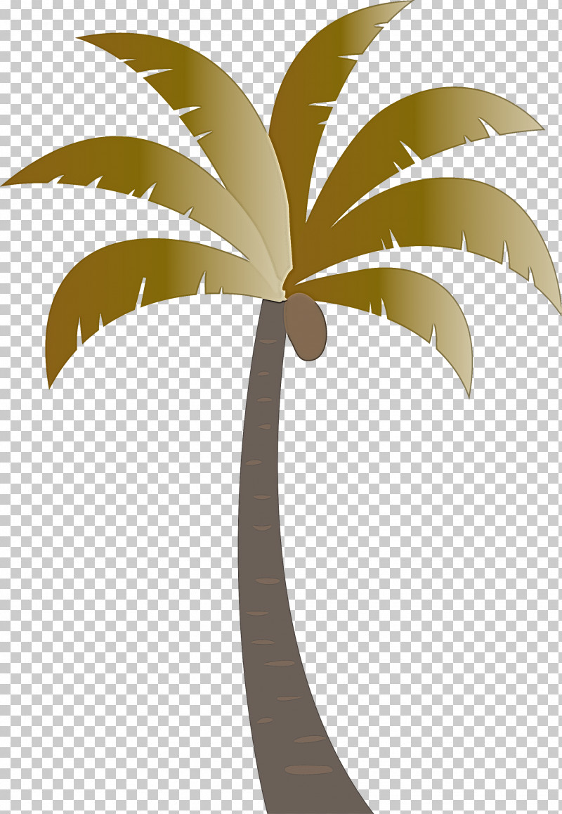 Palm Trees PNG, Clipart, Archontophoenix, Archontophoenix Cunninghamiana, Areca Palm, Beach, Cartoon Tree Free PNG Download