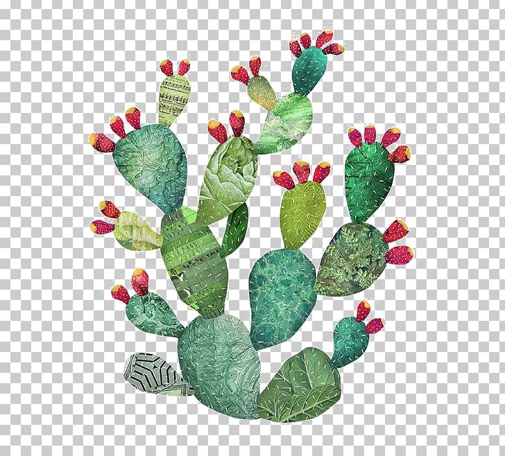 Cactaceae Watercolor Painting Art Illustration PNG, Clipart, Cactus, Canvas, Color, Fruit, Heart Free PNG Download
