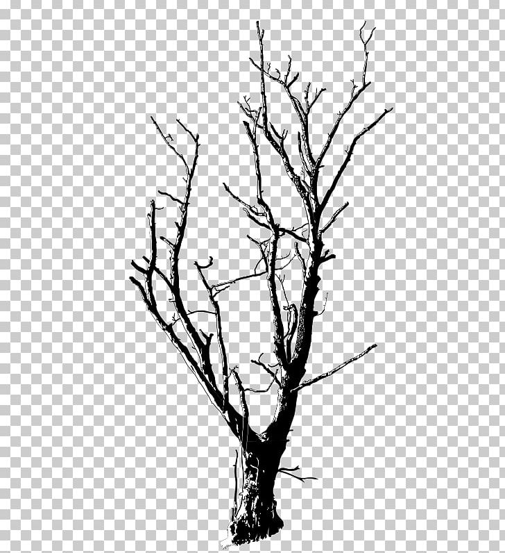 Drawing Branch Tree PNG, Clipart, Black And White, Branch, Cartoon, Dead Tree, Deadwood Free PNG Download