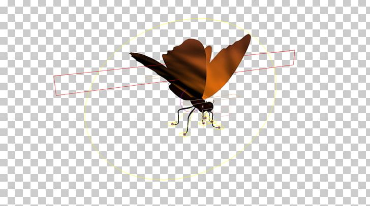 Moth Insect PNG, Clipart, Arthropod, Butterfly, Butterfly Wings, Gave, Insect Free PNG Download