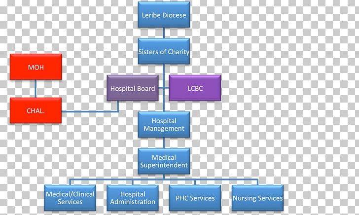 Corporate Organizational Chart With Board Of Directors