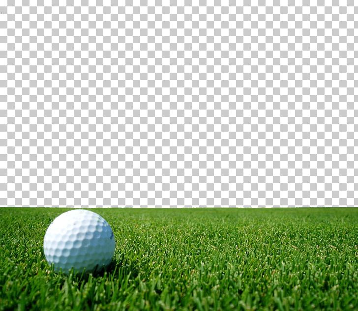 Augusta National Golf Club Golf Course Display Resolution PNG, Clipart, Aug, Ball, Ball Game, Computer, Computer Monitor Free PNG Download