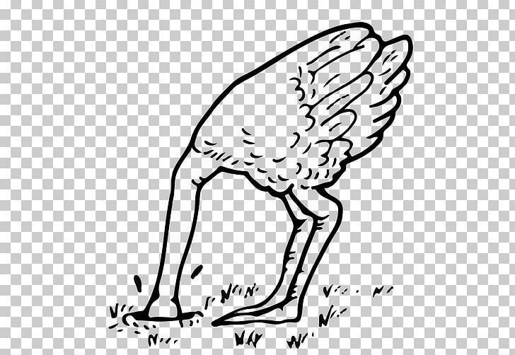 Common Ostrich Bird Egg Coloring Book PNG, Clipart, Animals, Area, Art, Artwork, Beak Free PNG Download