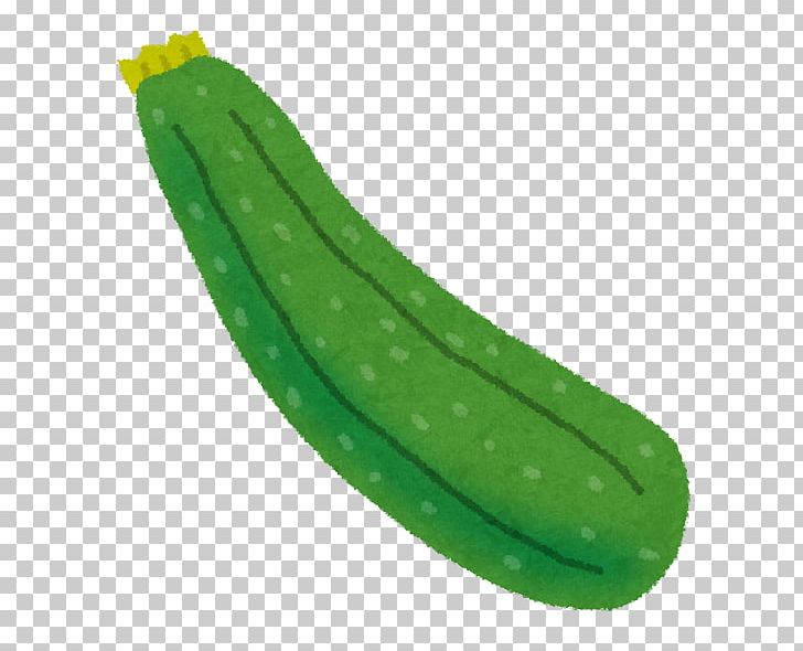 Cucurbita Pepo Var. Melopepo Zucchini Noodle Pasta 夏野菜 PNG, Clipart, Butternut Squash, Cooking, Corguette, Cucumber, Food Free PNG Download