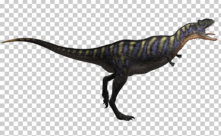 Tyrannosaurus Aucasaurus Velociraptor Ornitholestes Theropods PNG, Clipart, Animal Figure, Aucasaurus, Brachiosaurus, Carnivore, Desktop Wallpaper Free PNG Download