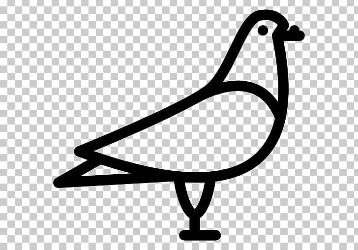 Columbidae Rock Dove Computer Icons Bird PNG, Clipart, Animal, Animals, Artwork, Beak, Bird Free PNG Download