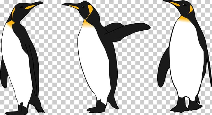 King Penguin Emperor Penguin PNG, Clipart, Animal, Animals, Beak, Bird, Black And White Free PNG Download