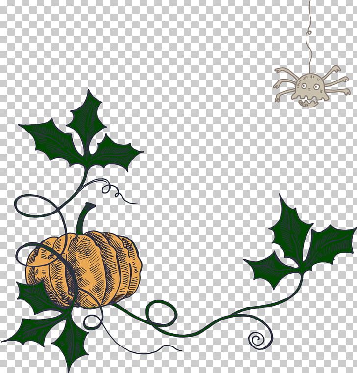 Pumpkin Halloween PNG, Clipart, Border, Branch, Christmas, Christmas Ornament, Euclidean Vector Free PNG Download