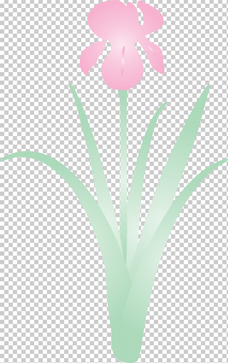 Iris Flower Spring Flower PNG, Clipart, Flower, Flowerpot, Iris, Iris Flower, Pedicel Free PNG Download