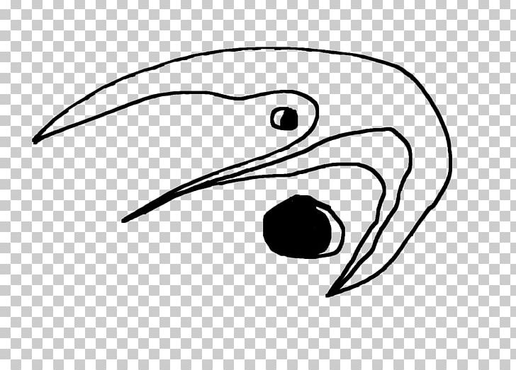 Beak Drawing Line Art PNG, Clipart, Animal, Are, Art, Artwork, Beak Free PNG Download