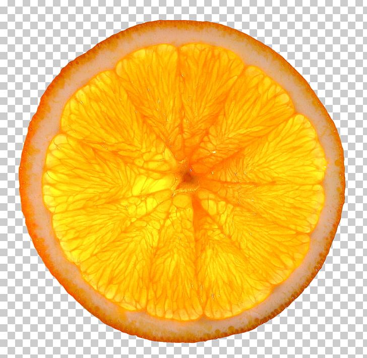 Orange Slice Citrus Health Quesadilla PNG, Clipart, Chocolate, Citrus, Drink, Food, Fruit Free PNG Download