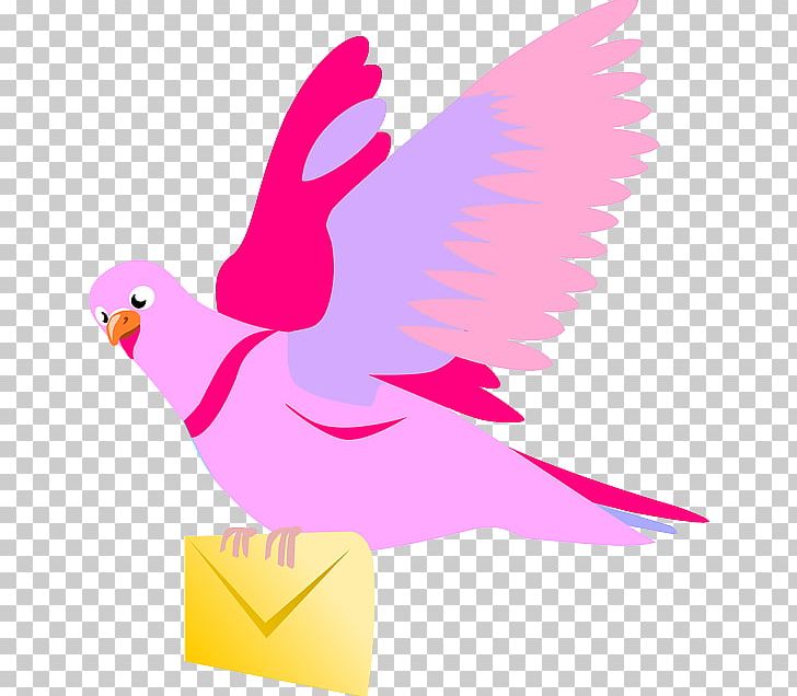 Columbidae English Carrier Pigeon Homing Pigeon Fantail Pigeon PNG, Clipart, Artwork, Beak, Bird, Chicken, Clip Art Free PNG Download