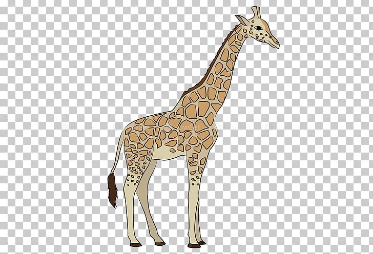 Giraffe PNG, Clipart, Animal, Animal Figure, Animals, Decal, Drawing Free PNG Download
