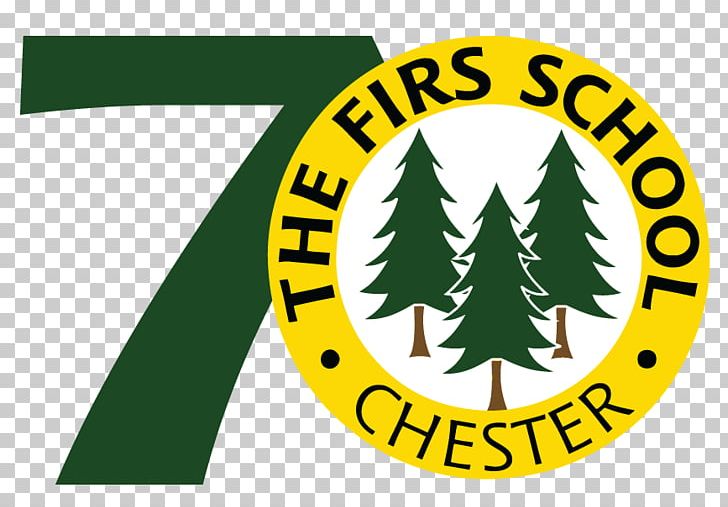 The Firs School Manchester Grammar School Withington Girls' School Education PNG, Clipart,  Free PNG Download