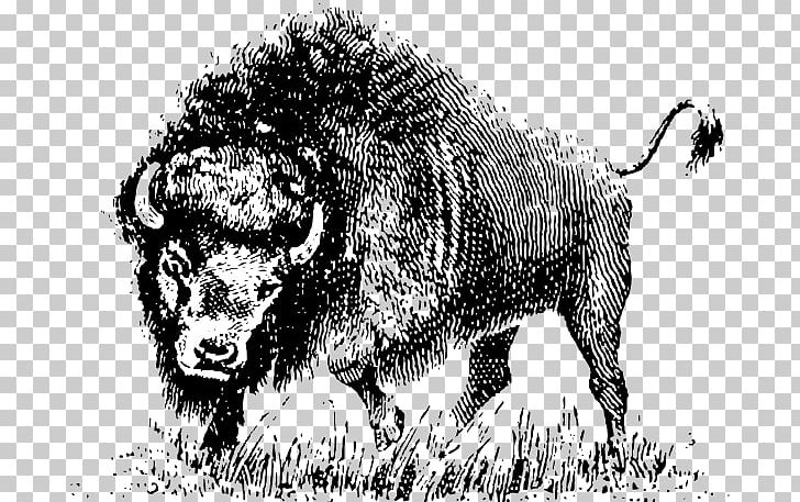 Water Buffalo PNG, Clipart, Big Cats, Bison, Black And White, Bull, Carnivoran Free PNG Download