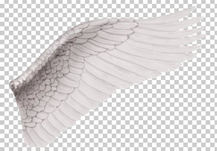 Angel PNG, Clipart, Angel, Clip Art, Download, Drawing, Fantasy Free PNG Download