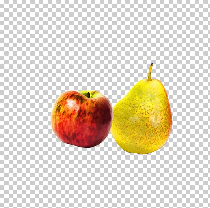 Apple Asian Pear PNG, Clipart, Accessory Fruit, Apple, Asian Pear, Auglis, Food Free PNG Download
