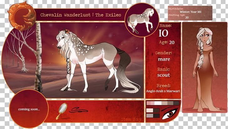 Stallion PNG, Clipart, Angloarabian, Horse, Horse Like Mammal, Others, Stallion Free PNG Download