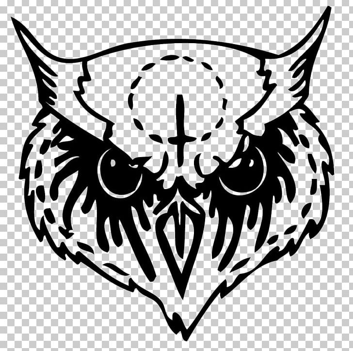 Owl Longboard Whiskers Beak PNG, Clipart, Animals, Bird, Black, Carnivoran, Cartoon Free PNG Download