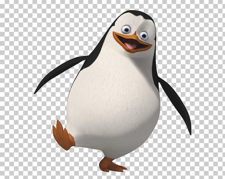 Penguin Desktop Kowalski PNG, Clipart, Animals, Beak, Bird, Clip Art, Clipping Path Free PNG Download
