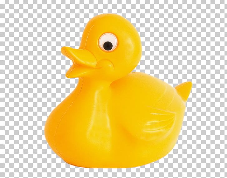 Rubber Duck Plastic Toy Natural Rubber PNG, Clipart, Anatidae, Animal, Animals, Bathtub, Beak Free PNG Download