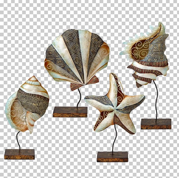 Seashell Invertebrate Sand Dollar Windowpane Oyster Starfish PNG, Clipart, Animals, Coral, Invertebrate, Living Room, Nautilidae Free PNG Download