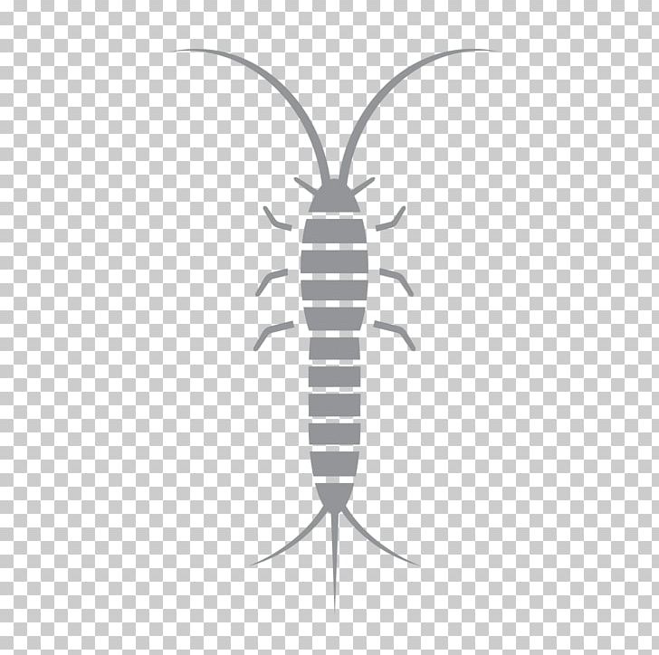 Insect Line Pest Font PNG, Clipart, Animals, Insect, Invertebrate, Line, Organism Free PNG Download