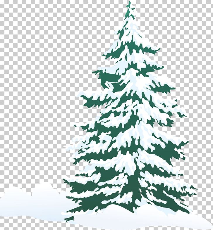 Pine Tree Snow PNG, Clipart, Branch, Christmas, Christmas Decoration, Christmas Ornament, Christmas Tree Free PNG Download