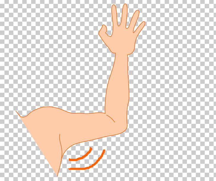 Arm Thumb Axilla PNG, Clipart, Area, Arm, Art, Axilla, Clip Free PNG Download