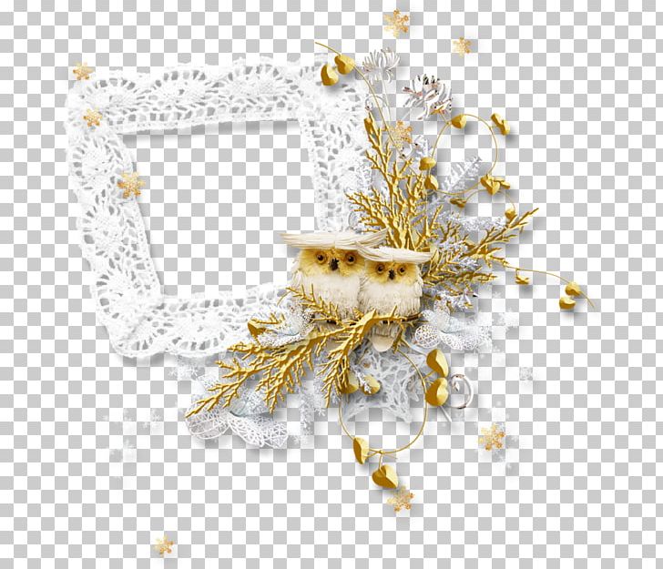 Frames Owl Material PNG, Clipart, Body Jewelry, Chart, Christmas, Christmas Ornament, Data Free PNG Download