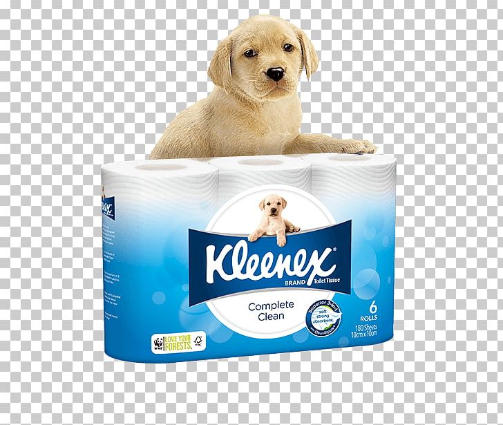 Kleenex Facial Tissues Toilet Paper Cottonelle PNG, Clipart, Bathroom, Carnivoran, Cleaning, Companion Dog, Cottonelle Free PNG Download
