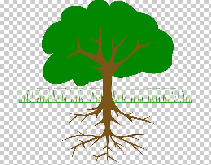The Great Kapok Tree Root PNG, Clipart, Blog, Branch, Diagram, Download, Flower Free PNG Download