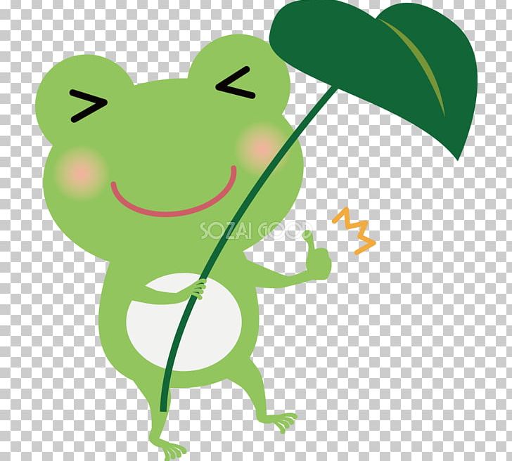 Frog Amphibian PNG, Clipart, Amphibian, Animal, Animals, Branch, Calculation Free PNG Download