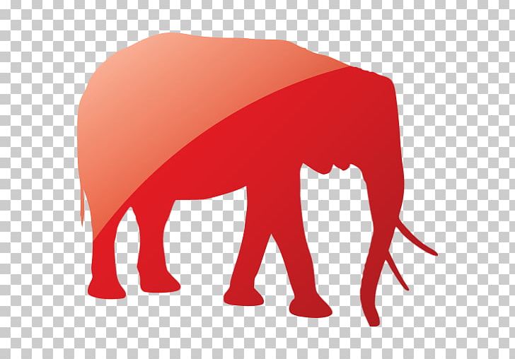 Indian Elephant African Elephant International Fund For Animal Welfare App For Kids Panthera PNG, Clipart, African Elephant, Animal Welfare, App For Kids, Cattle Like Mammal, Colors Free PNG Download