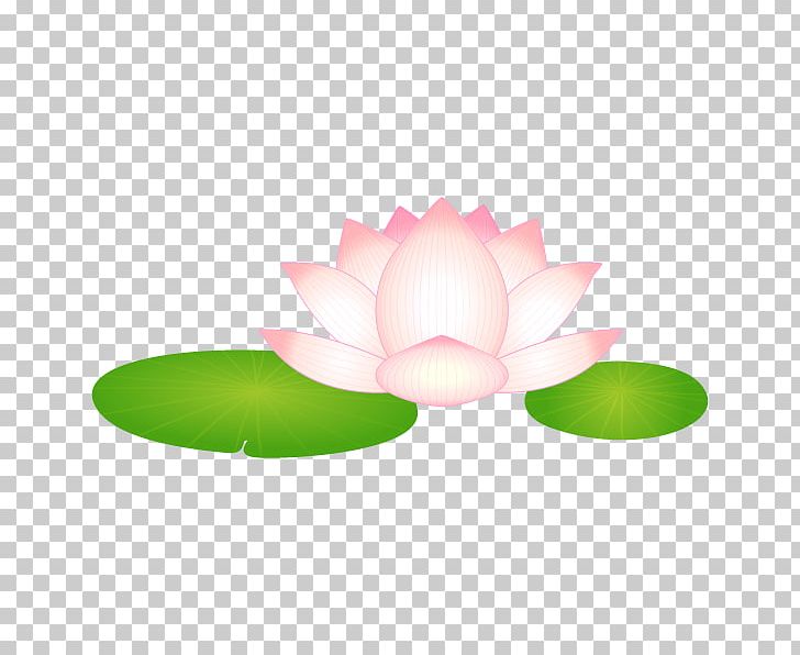 Nelumbo Nucifera 大賀ハス Water Lily Kodai Hasu No Sato (ancient Lotuses Park) PNG, Clipart, Art, Art Museum, Brass, Buddha, Crisp Free PNG Download
