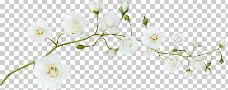 Flower White Green PNG, Clipart, Artificial Flower, Black White, Branch, Color, Computer Wallpaper Free PNG Download