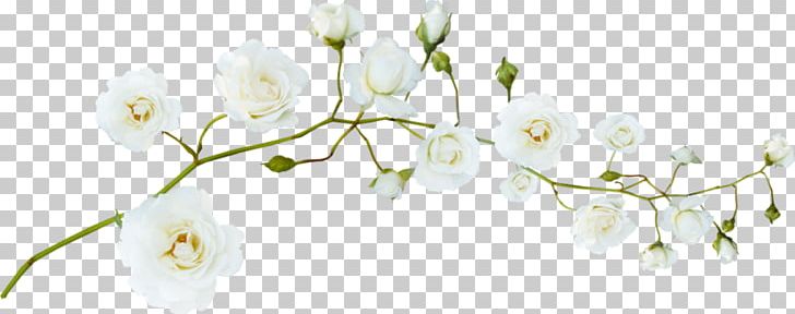 Flower White Green PNG, Clipart, Artificial Flower, Black White, Branch