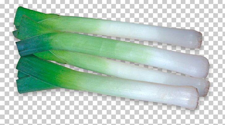 Leek PNG, Clipart, Leek Free PNG Download