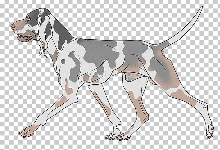 Treeing Walker Coonhound English Foxhound American Foxhound Finnish Hound Beagle PNG, Clipart, American Foxhound, American Leopard Hound, Carnivoran, Catahoula Cur, Coonhound Free PNG Download
