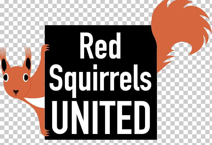 American Red Squirrel Logo Animal PNG, Clipart, American Red Squirrel, Animal, Animals, Area, Birth Control Free PNG Download