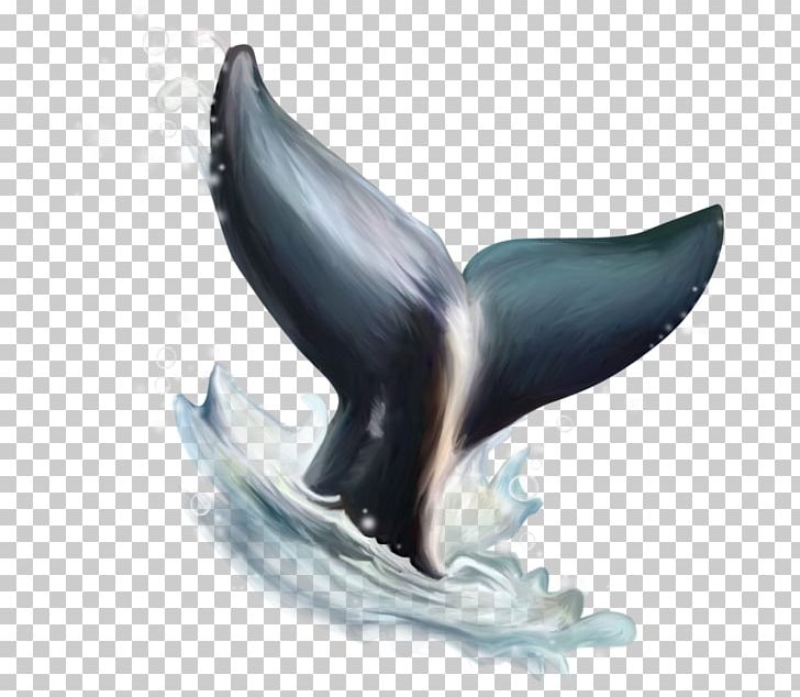 Dolphin Watercolor Painting PNG, Clipart, Animals, Beak, Cartoon Dolphin, Cetacea, Clip Art Free PNG Download