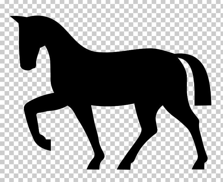 Horse Colt Foal PNG, Clipart, Animals, Black And White, Bridle, Collection, Colt Free PNG Download