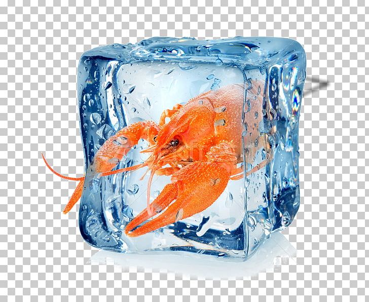Ice Cube Stock Photography PNG, Clipart, Chicken As Food, Crawfish, Cube, Drink, Food Free PNG Download