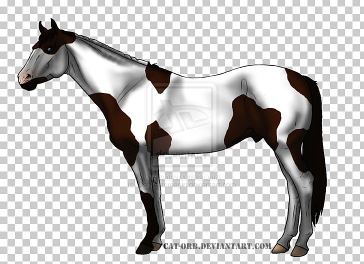 Mare Mustang Foal Rein Mane PNG, Clipart,  Free PNG Download