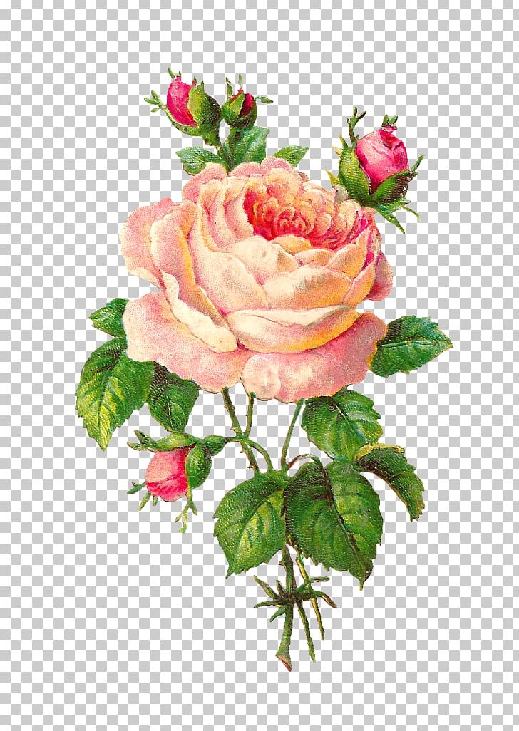 Rose Flower Floral Design Vintage Clothing PNG, Clipart, Antique, Artificial Flower, Cut Flowers, Floral Design, Floribunda Free PNG Download