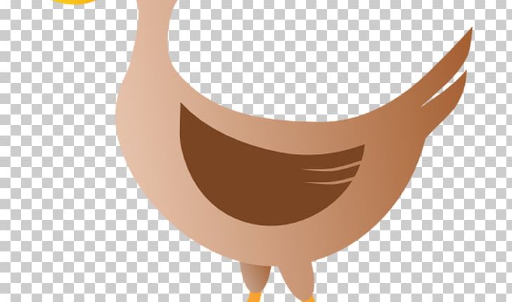 Wood Duck PNG, Clipart, Animals, Beak, Bird, Chicken, Duck Free PNG Download