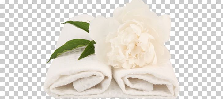Banya Towel Laundry Washing Hotel PNG, Clipart, Ayurveda, Banya, Bathroom, Cellulite, Cut Flowers Free PNG Download
